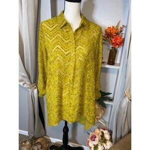 Stunning Green Textured size Small Semi Sheer Cato Tunic Length Top EUC